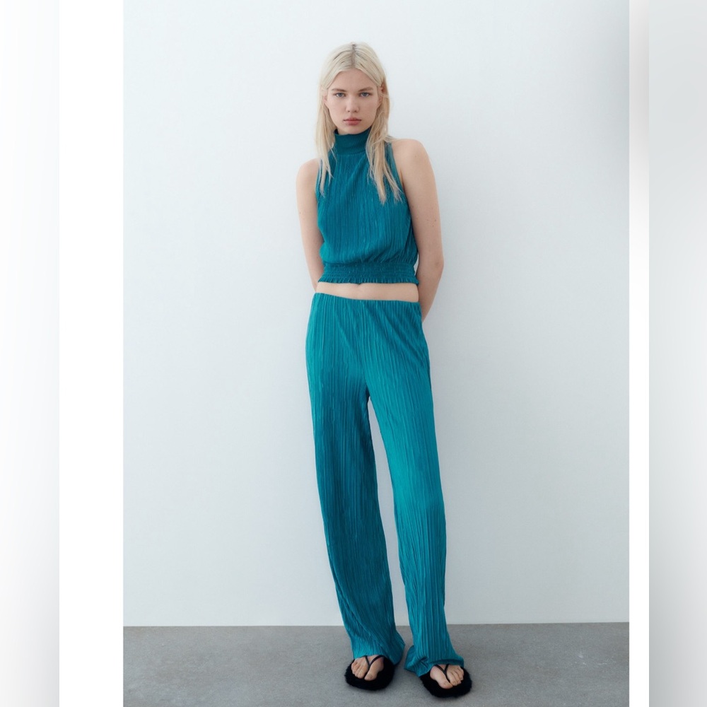 Zara Pleated pants - wide leg NWOT